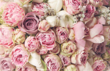 shutterstock_139300868_632584626587_Easy-Resize_com