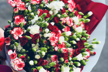 3CFF53C9-3DBE-494D-A313-DF08FDEC5DC8